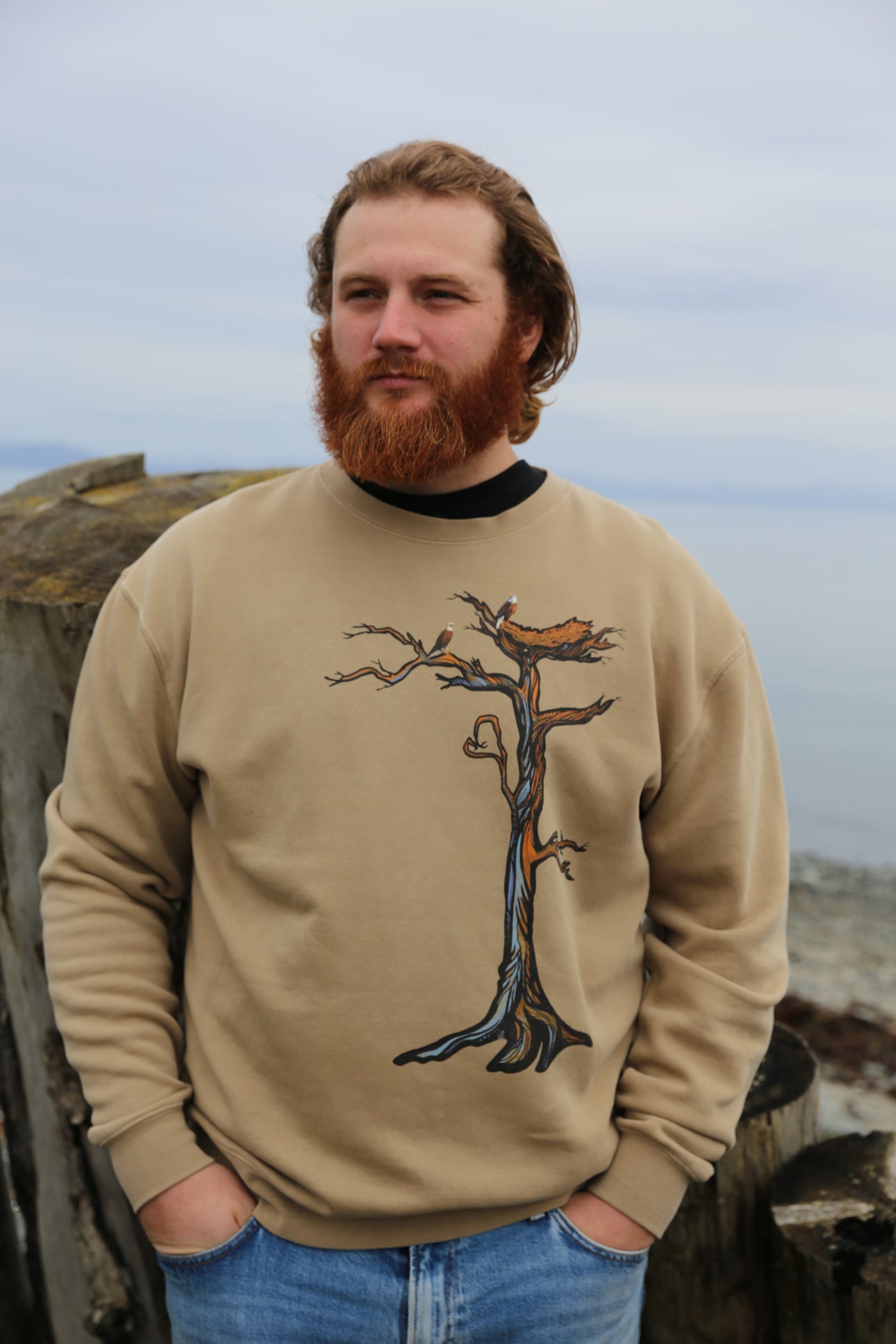 Eagle Tree Sandstone